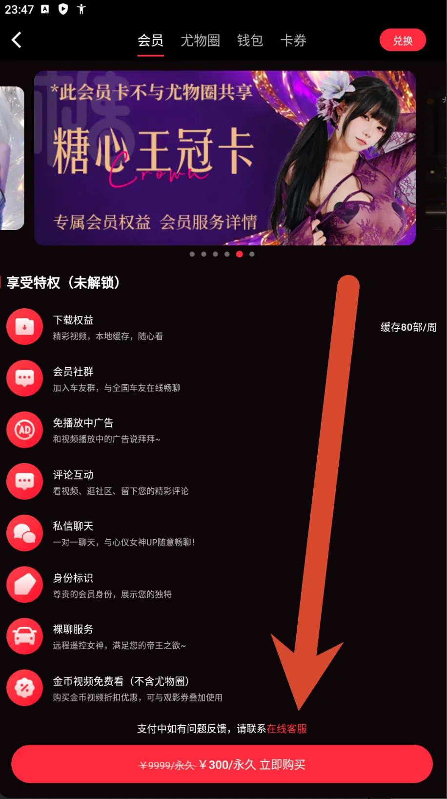 糖心Vlog皇冠会员卡价格截图
